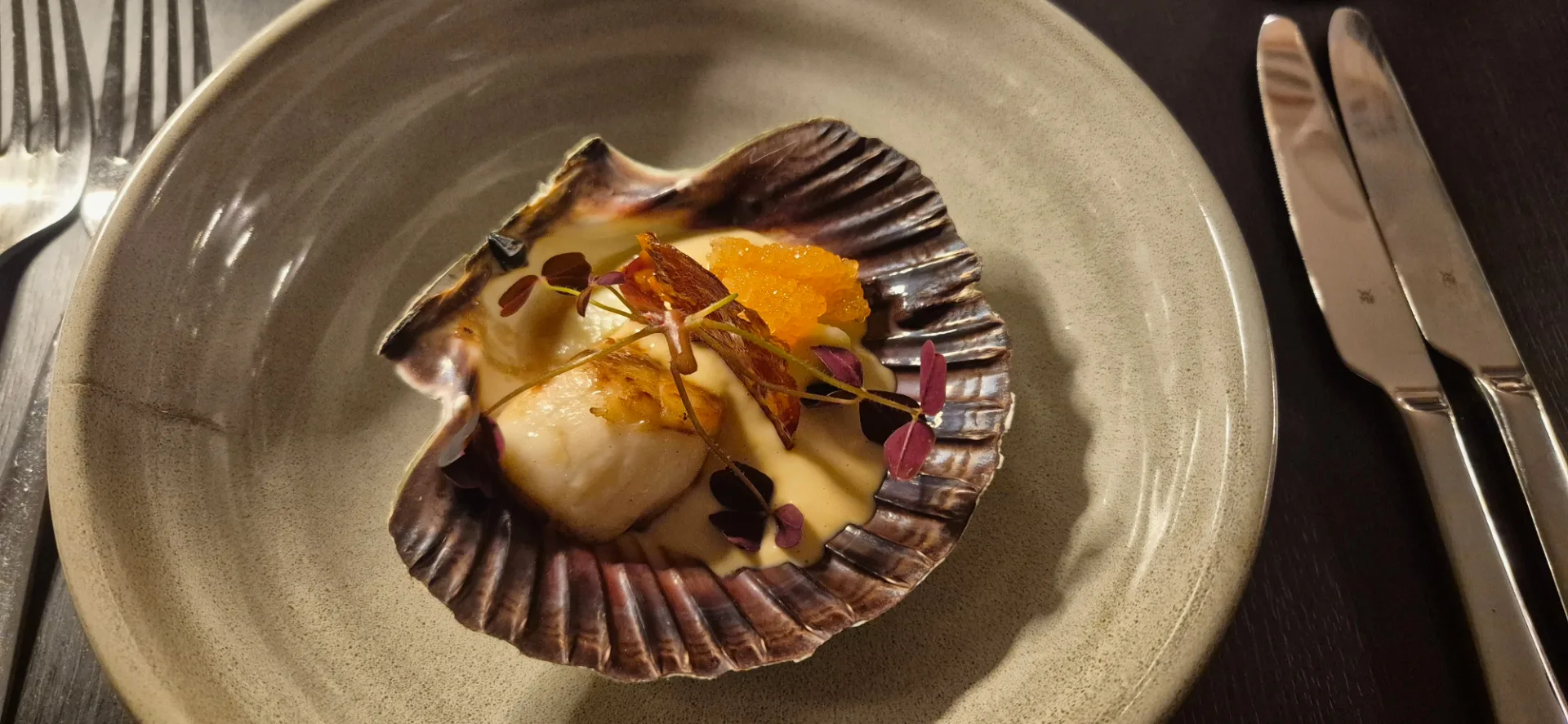 Kammussla serveras i sitt skal